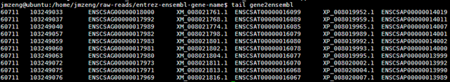 NCBI的基因entrez相关文件介绍859