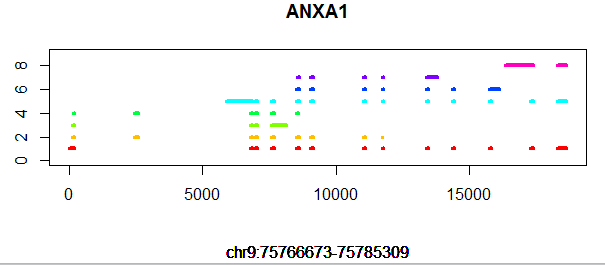 anxa1-gene-structure