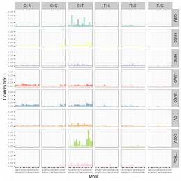 mutation spectrum