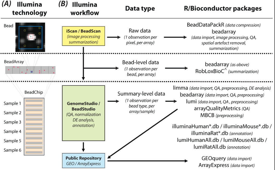 illumina-microarray-data-3-step-processing