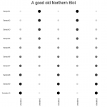 ex-heatmap-11