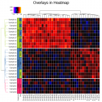 ex-heatmap-7