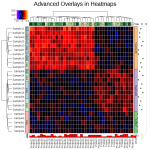 ex-heatmap-9