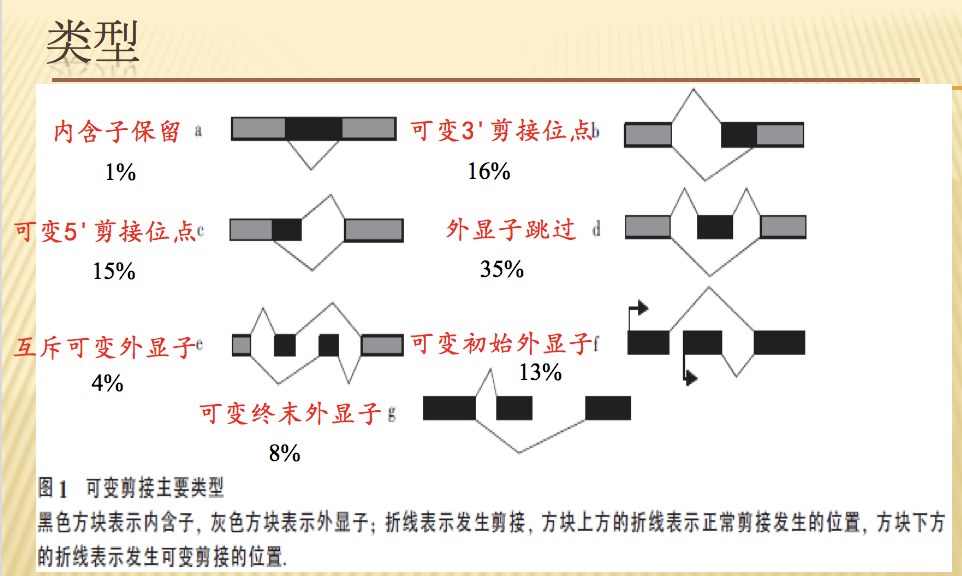 可变剪切的5种形式