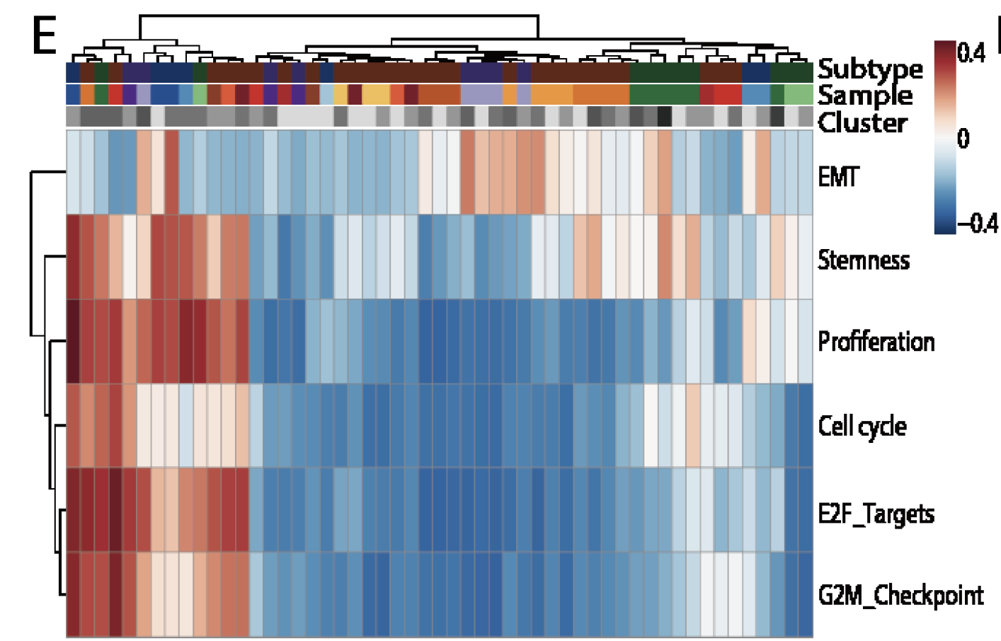 GSVA-heatmap-cells-of-two-patients.png