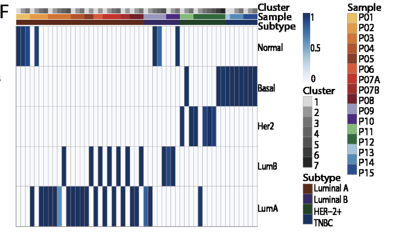 PAM50-heatmap-cells-of-patients.png