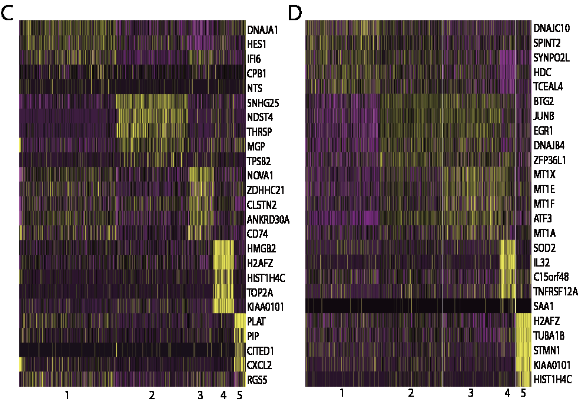 heatmap-for-DEGs-clusters-two-patients.png