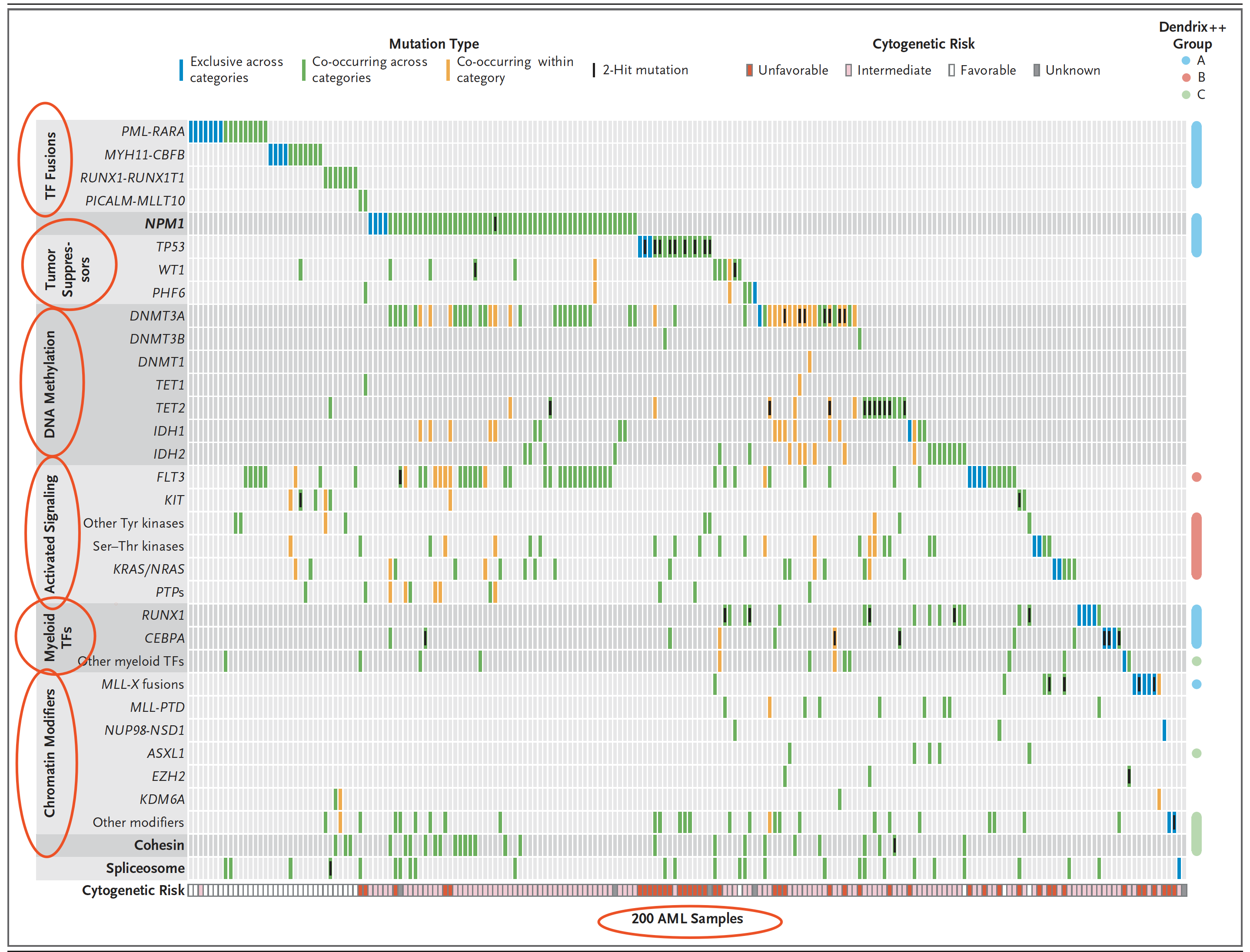 mutation-landscape-AML-200-patients.png