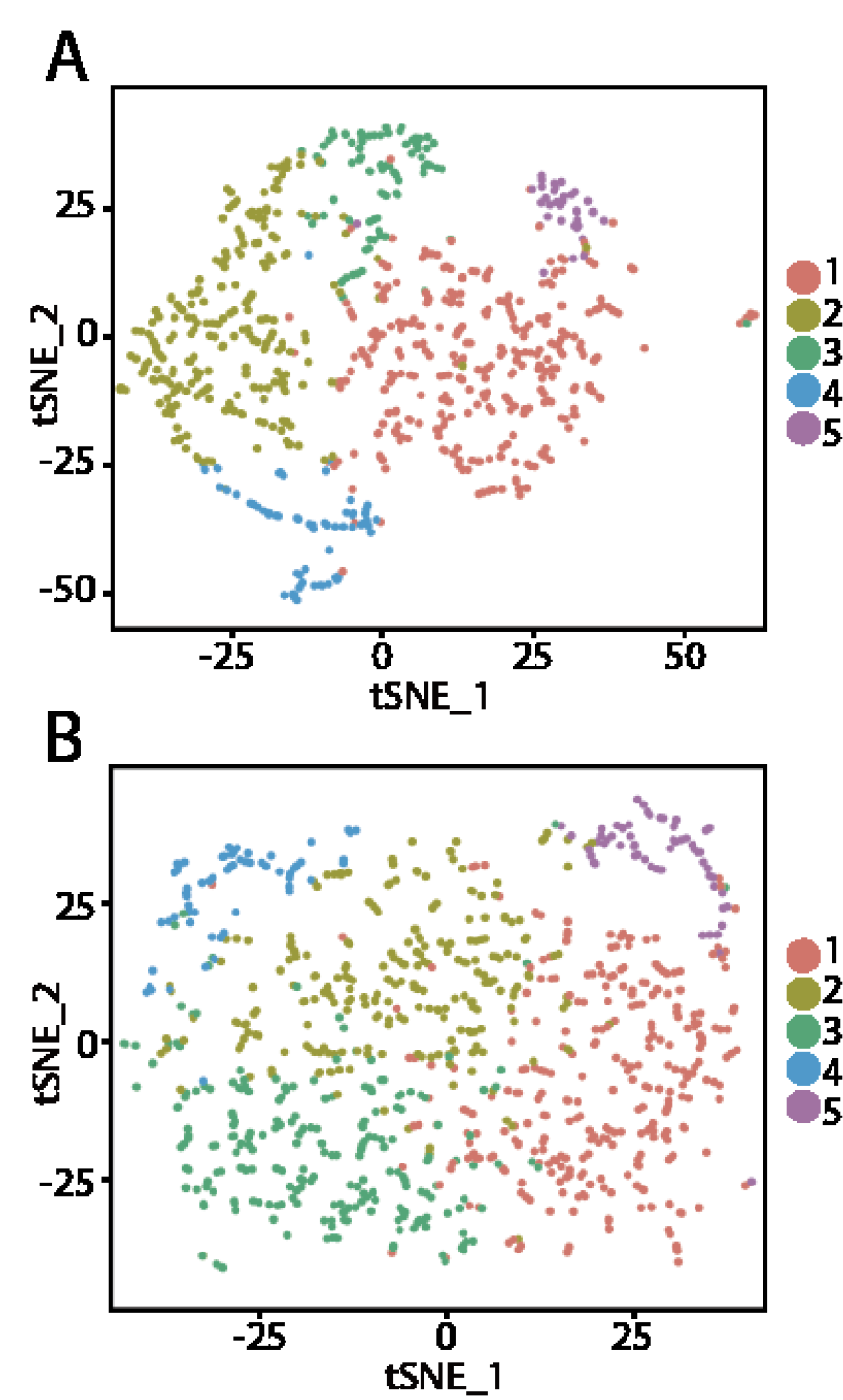 tSNE-for-patients.png