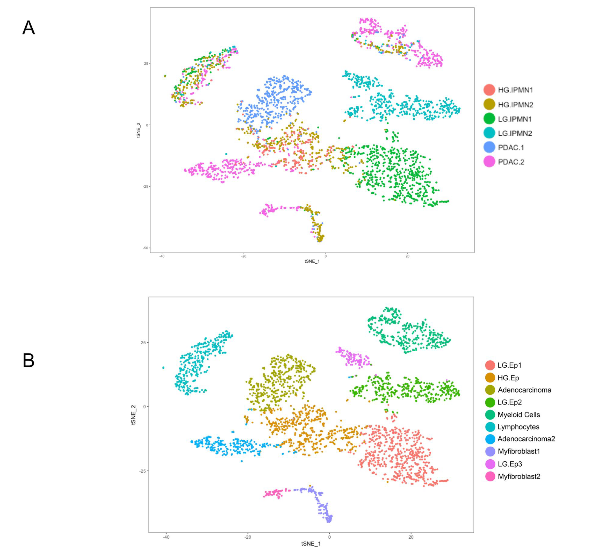 tSNE-tissues-expression-types.png