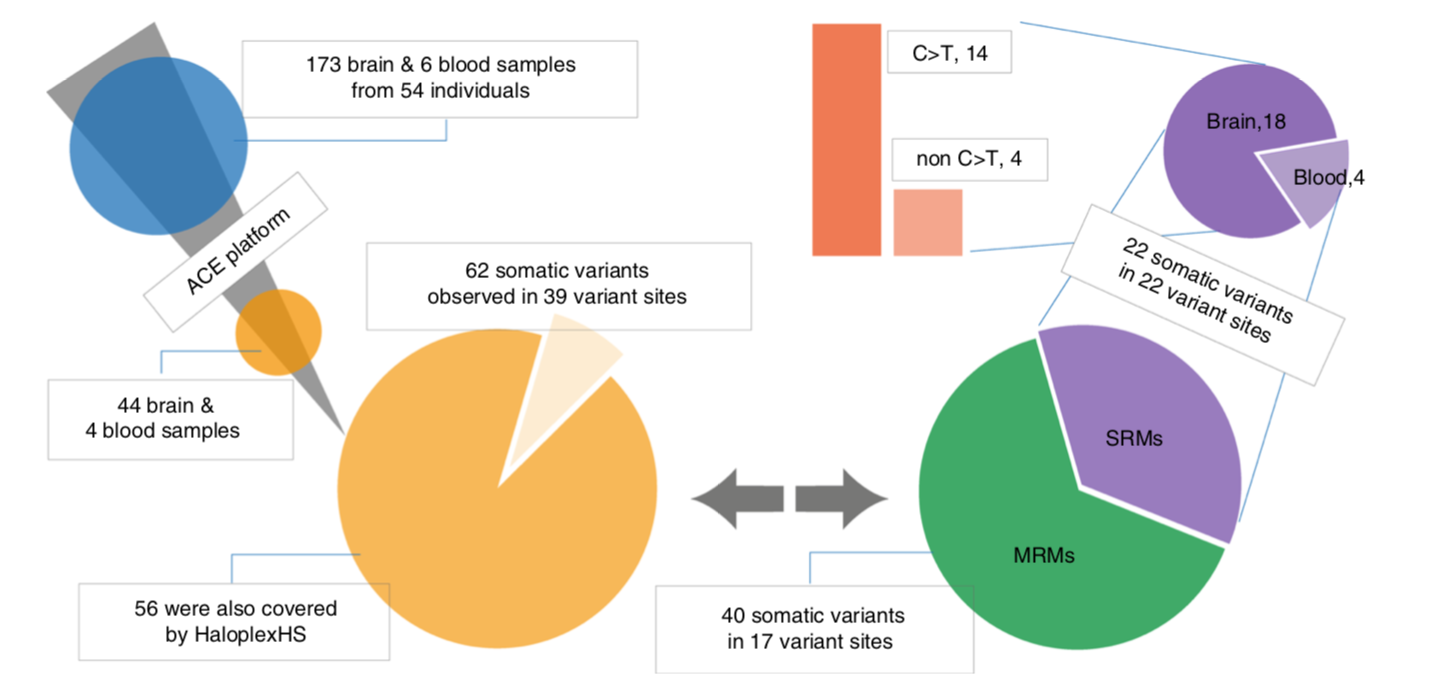 Summary-SRMs-MRMs-observed.png