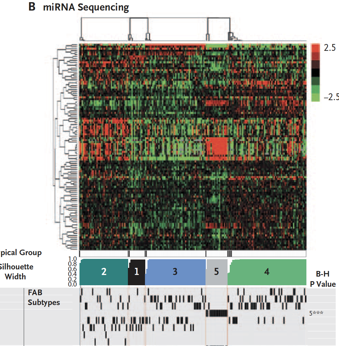 cluster-miRNA-seq.png