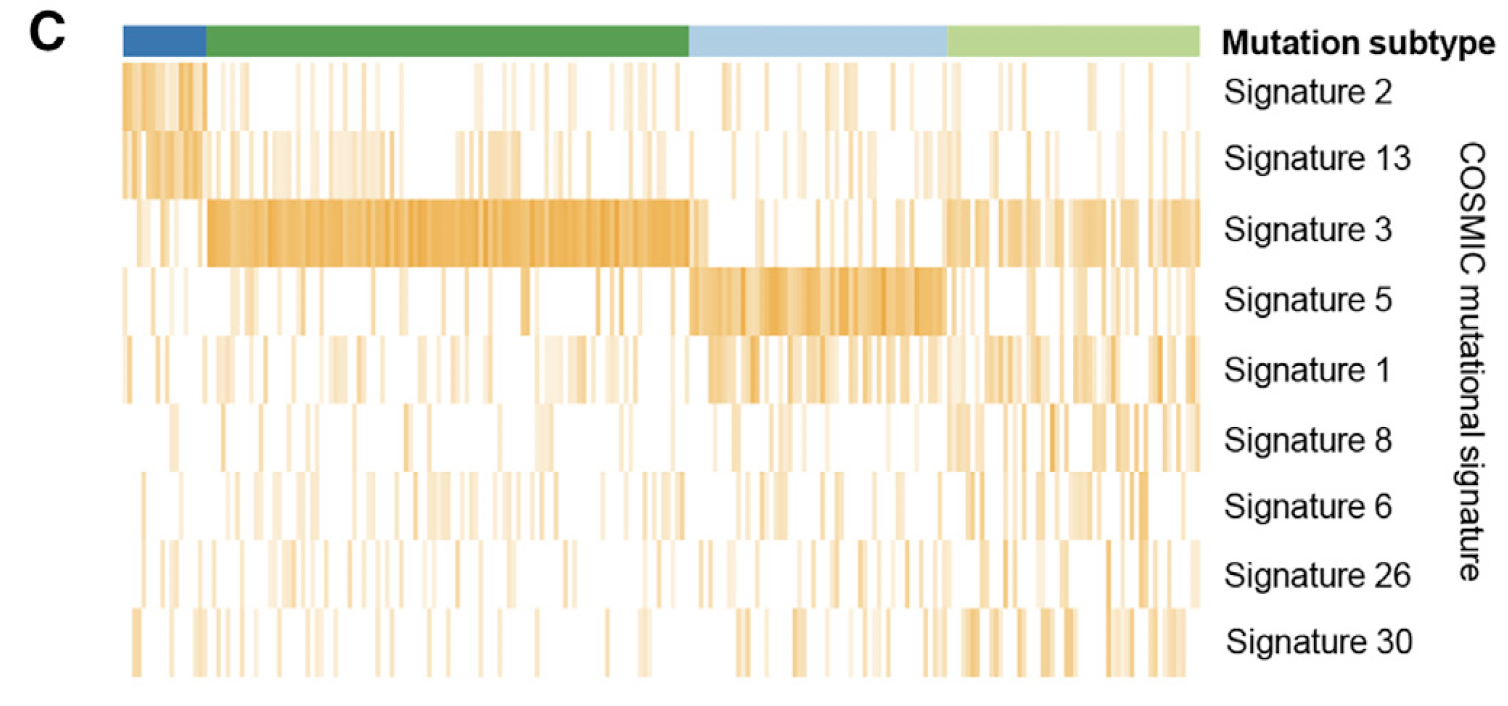 COSMIC-mutation-signature.png
