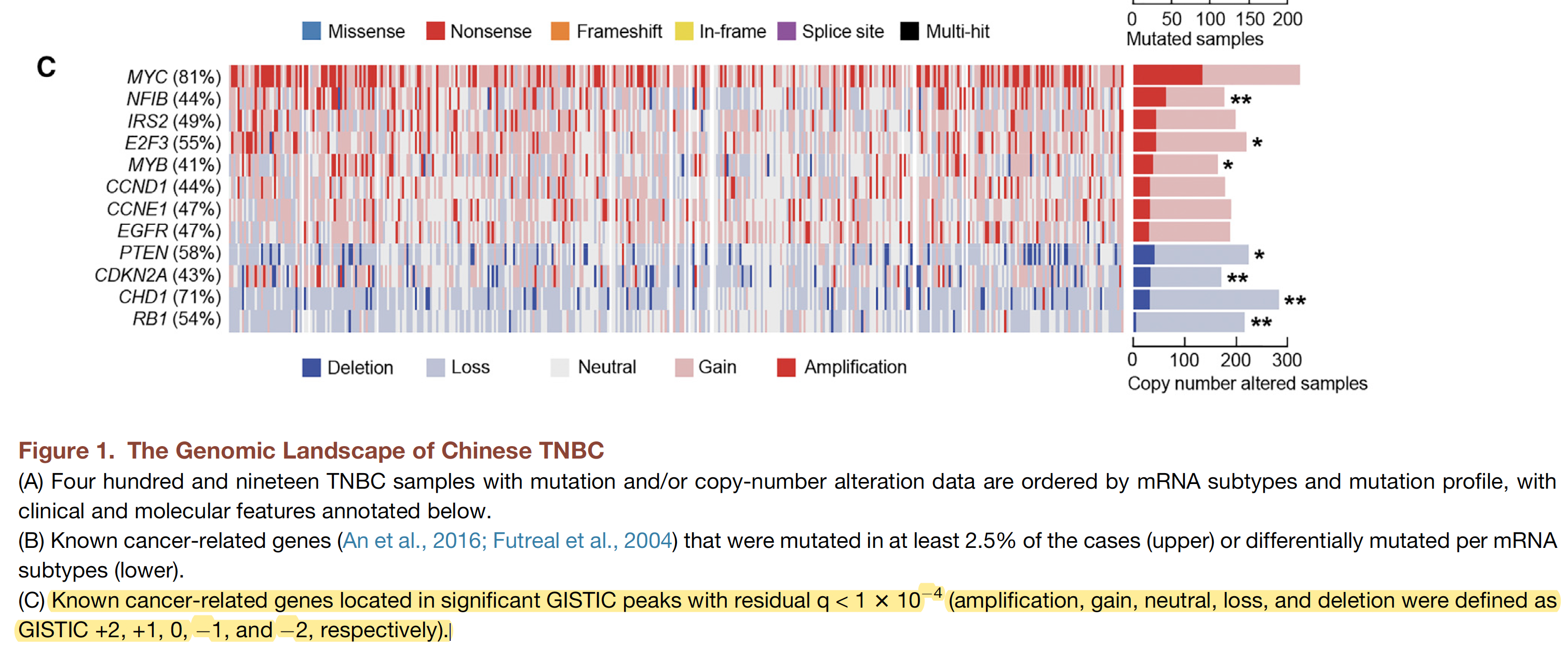 Chinese-TNBC-CNV-pattern.png