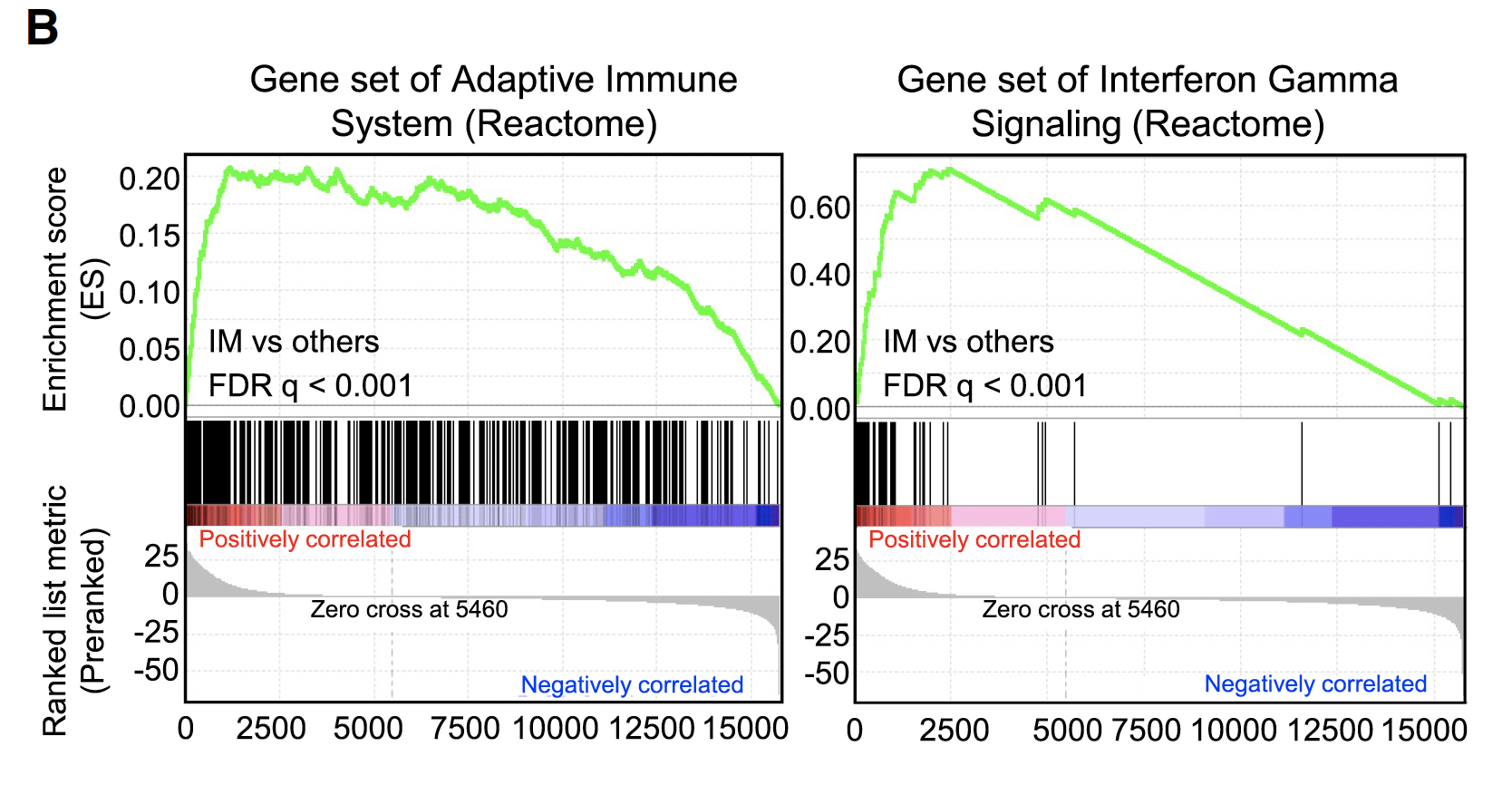 GSEA-Reactome-IM-subtypes-VS-others.png