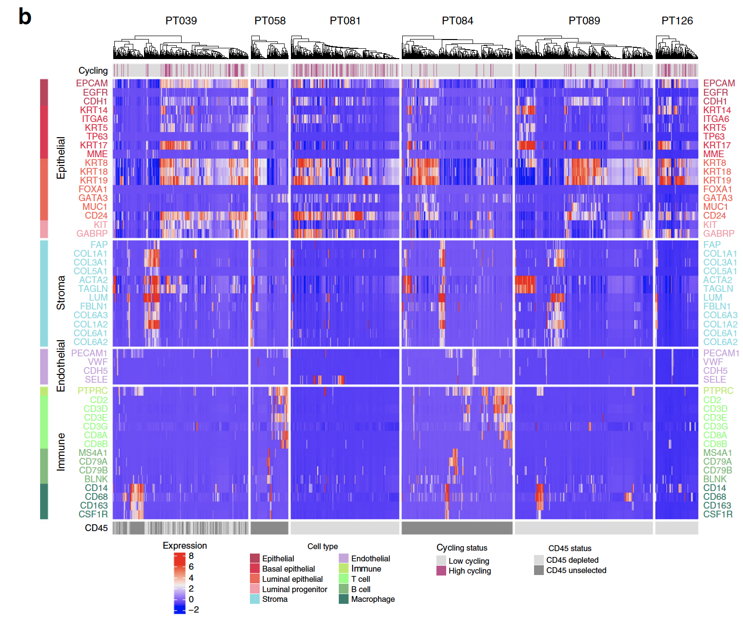 celltype-heatmap-of-patients.png