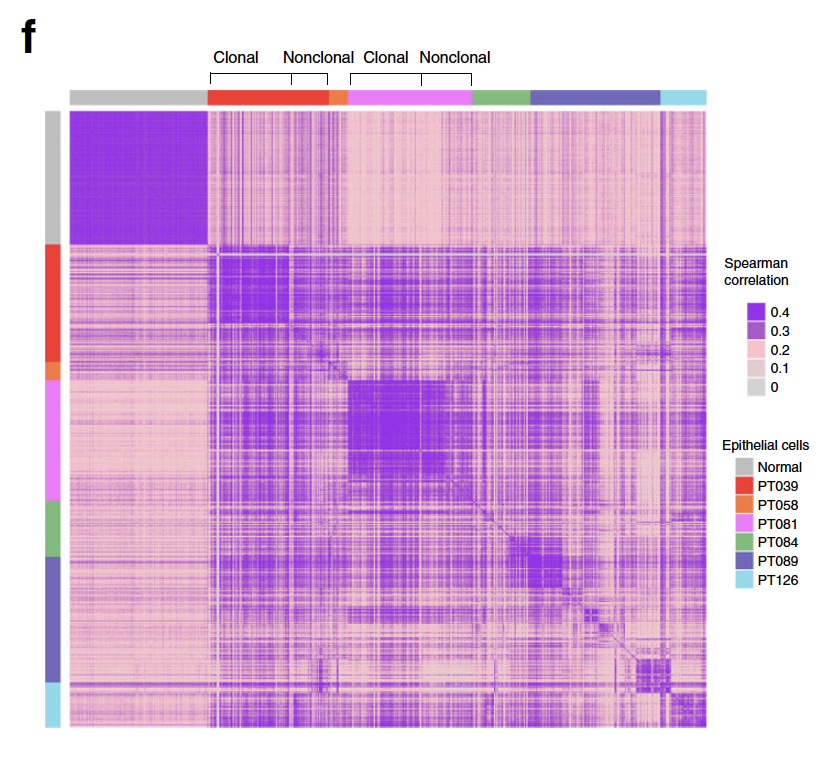 correlation-all-cells.png