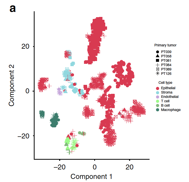 tSNE-of-all-cells.png