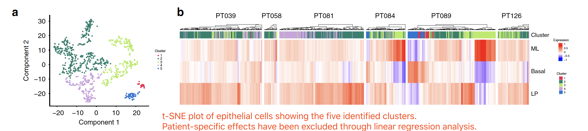 tSNE-of-epithelial-cells-after-remove-patients-effect.png