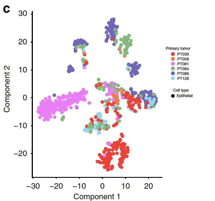 tSNE-of-epithelianl-cells.png