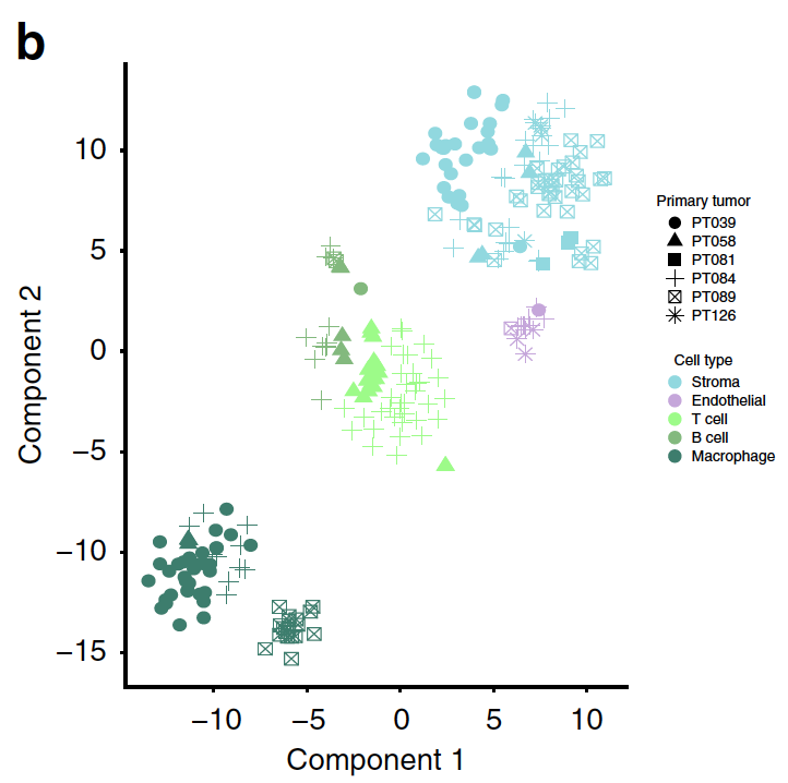 tSNE-of-non-epithelian-cells.png