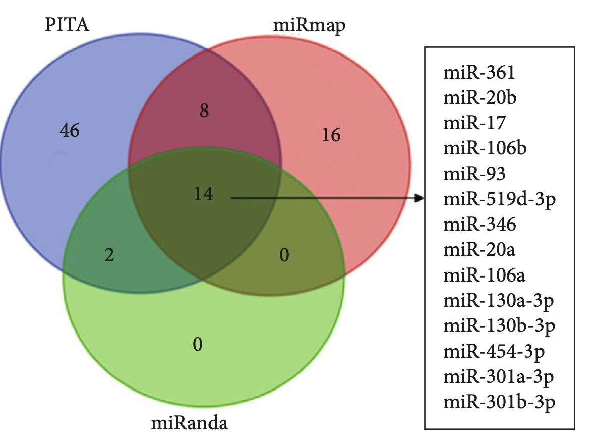 多个miRNA数据库的交集