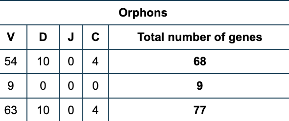  77 orphons