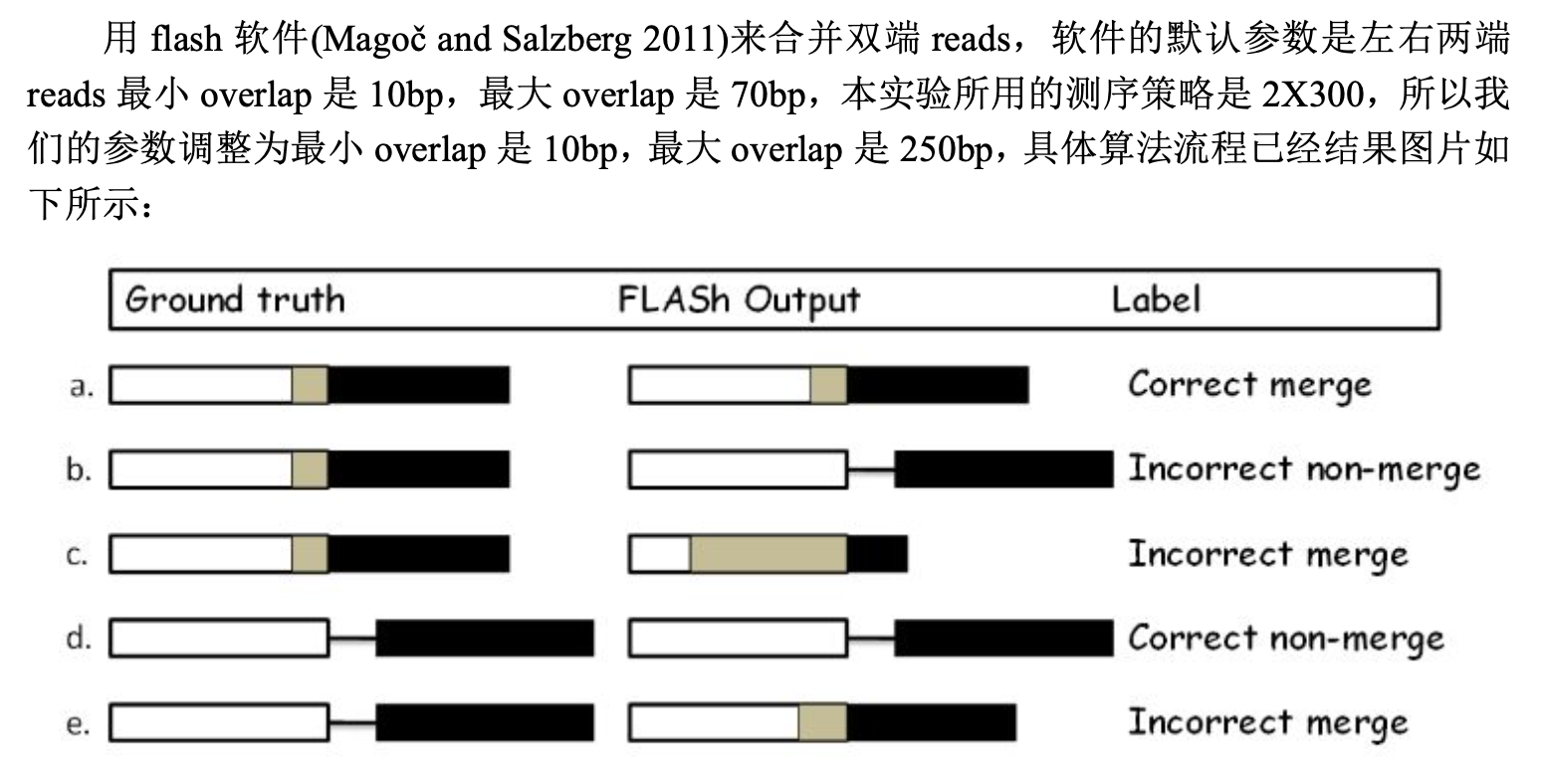 FLASH软件拼接左右reads的多种情况