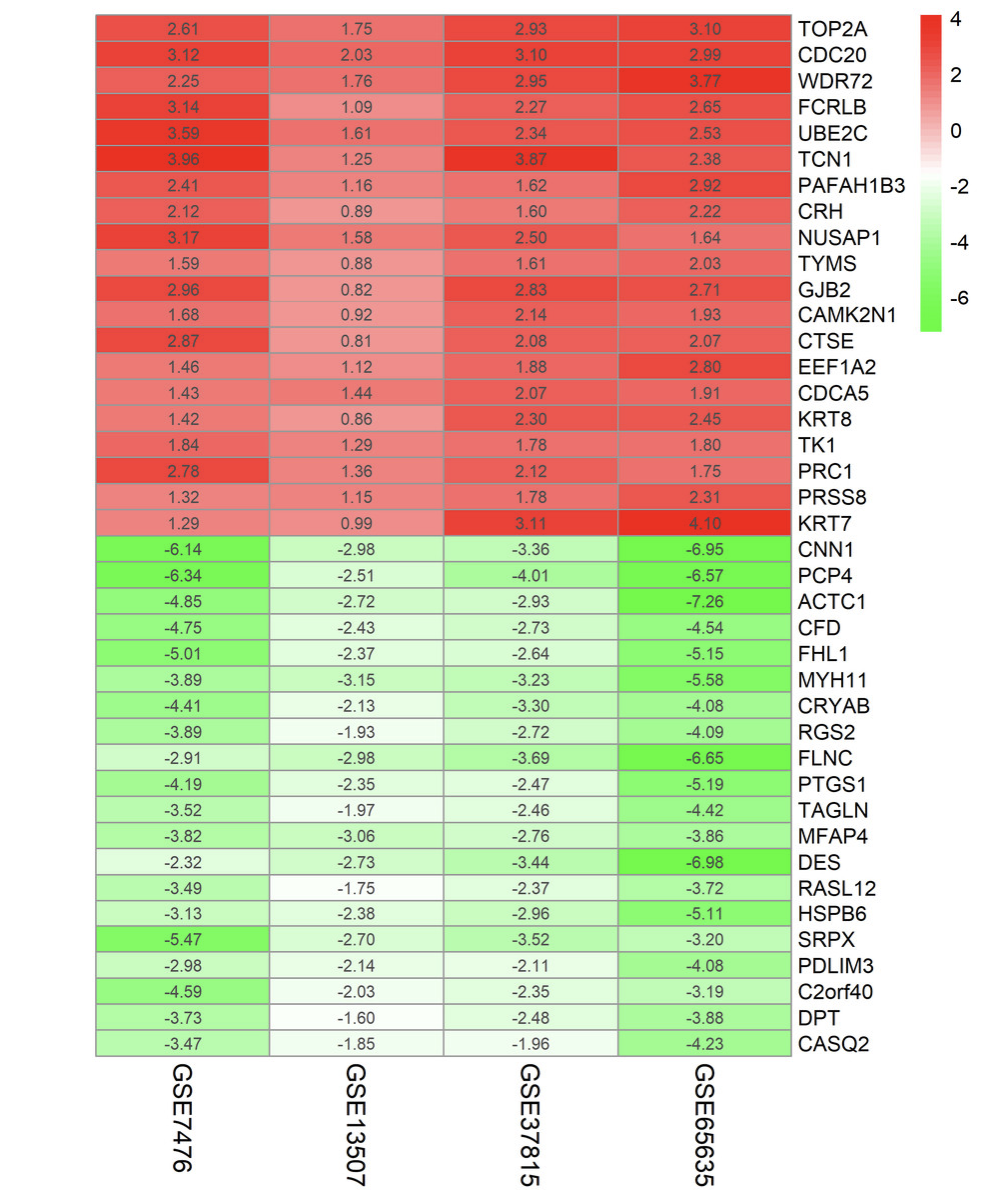 top20的上调基因和下调基因的差异倍数进行热图可视化