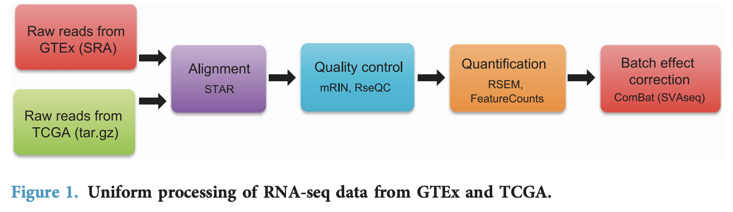 统一TCGA和GTEx定量流程