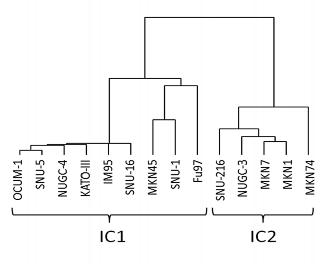 18 Asian gastric cell lines的层次聚类