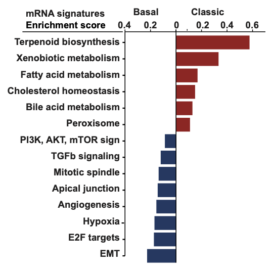 hallmark mRNA transcriptional signatures 注释，GSEA方法