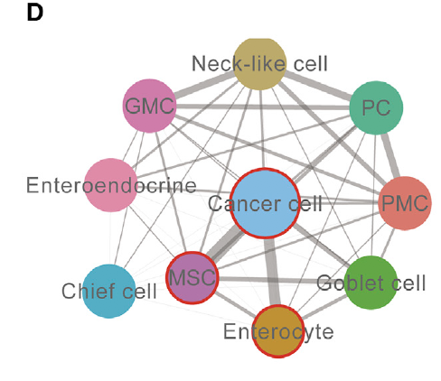 不同细胞亚群的网络图