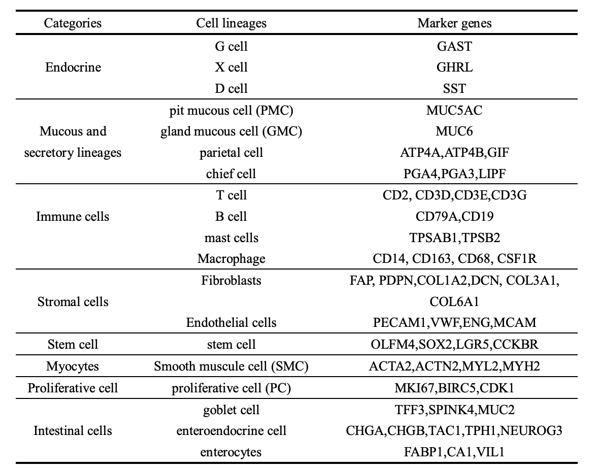 全部的17个细胞亚群各自的标记基因来源于文献