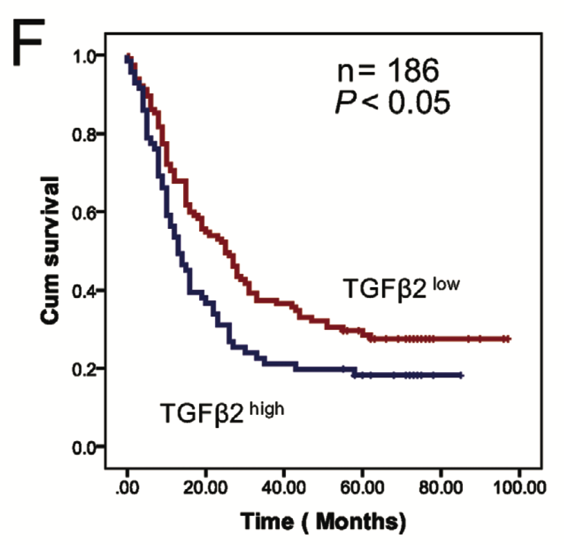 TGF**2是坏的生存因素