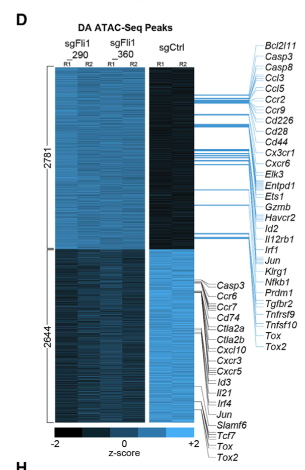 differentially accessible (DA) peaks 的热图