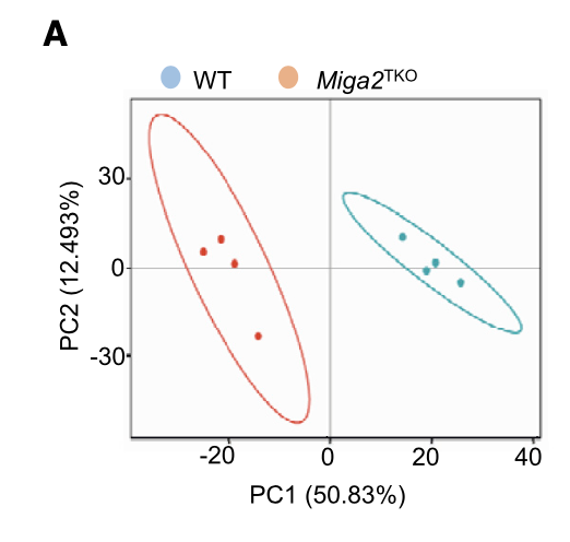 Partial Least-squares discrimination analysis (PLS-DA)