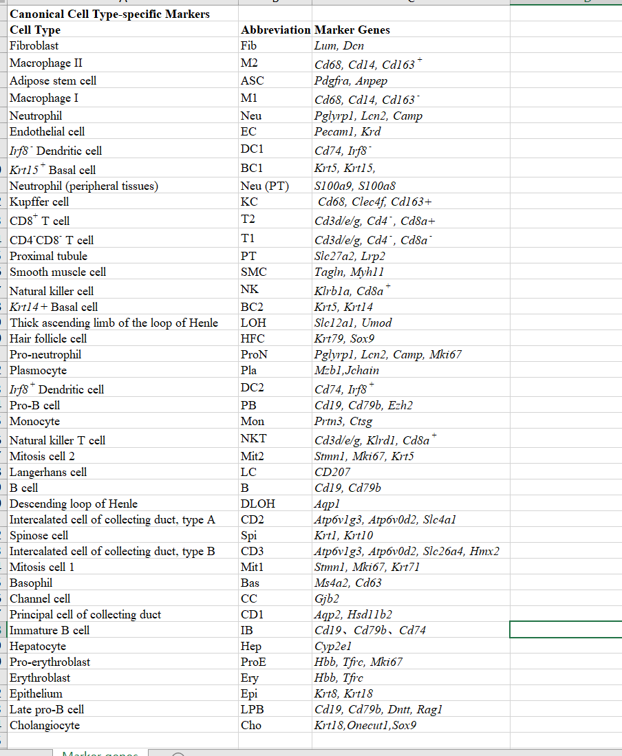 常见的大鼠这个物种的单细胞亚群的标记基因