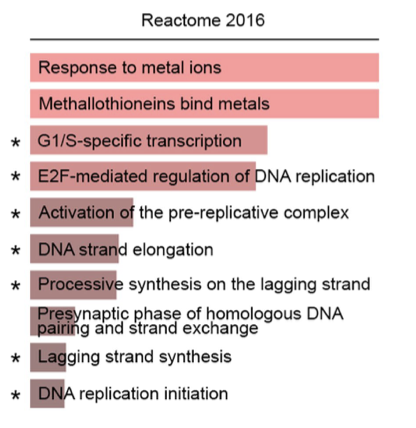 生物学功能数据库富集