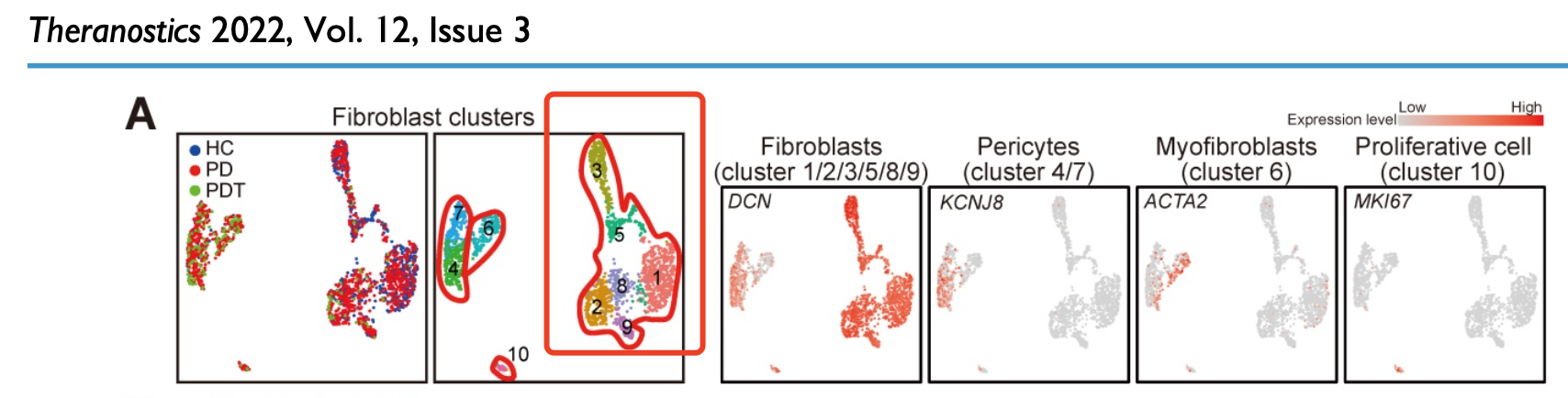 2194 fibroblasts (as in Figure 1A), 