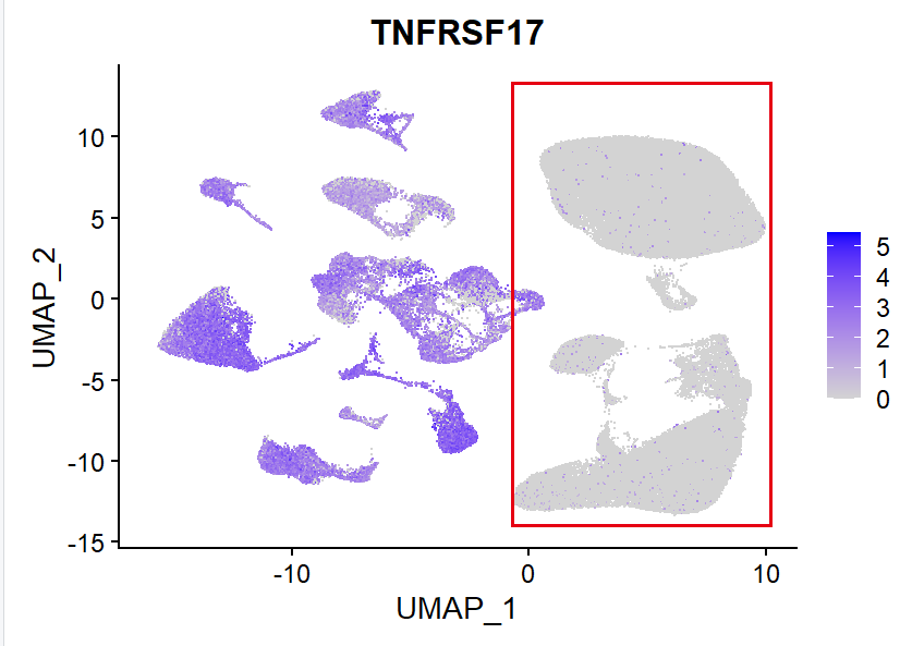 特殊基因TNFRSF17的表达量