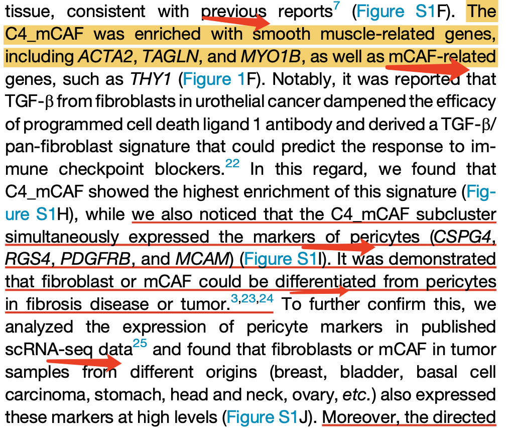 Myo-fibroblast (mCAF)就大概率是真实的