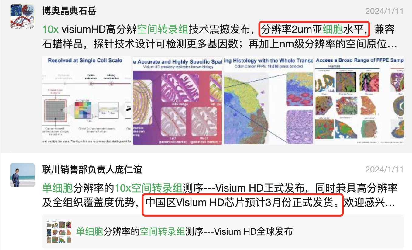 真正的空间单细胞